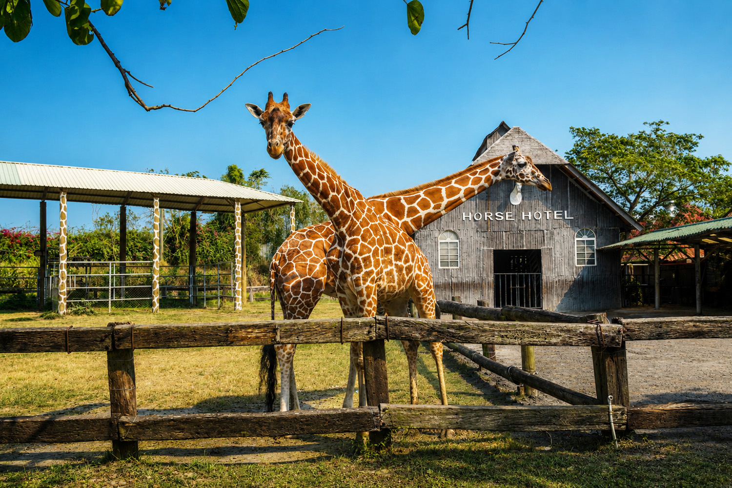 頑皮世界野生動物園動物互動